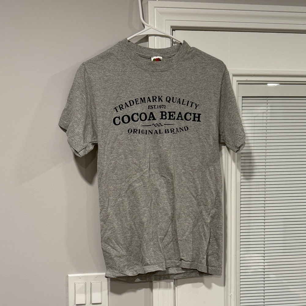 Fruit of the Loom Gray Graphic Tee